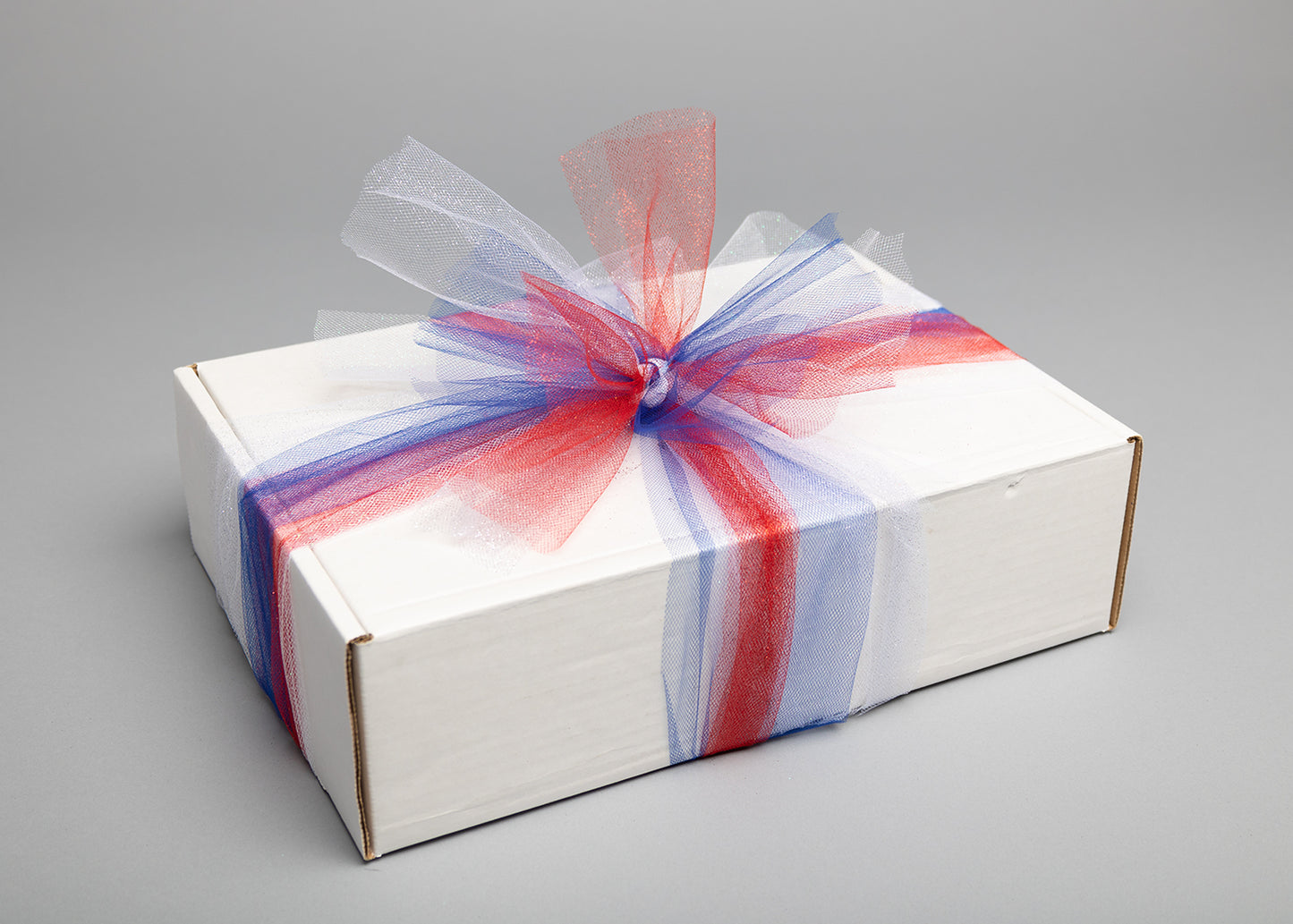 Fourth of July Kit
